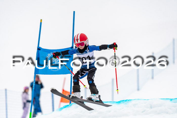 SVM U8/10 Sport Gürteler Cup 01.03.2026