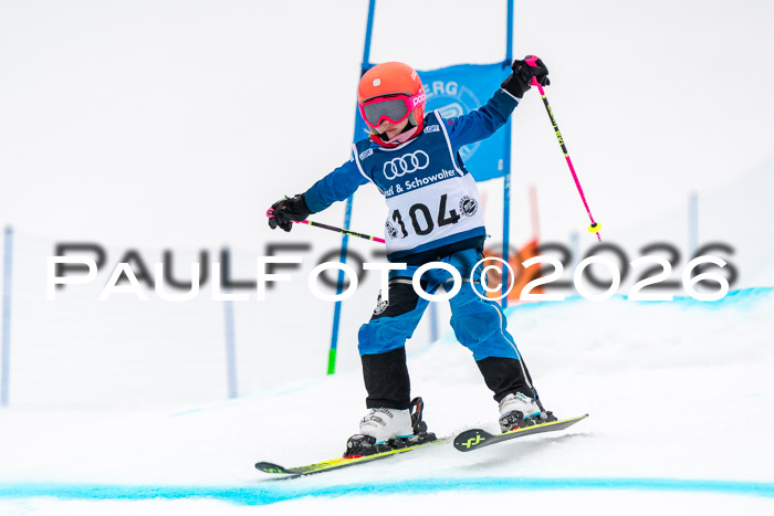 SVM U8/10 Sport Gürteler Cup 01.03.2026