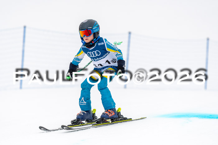 SVM U8/10 Sport Gürteler Cup 01.03.2026