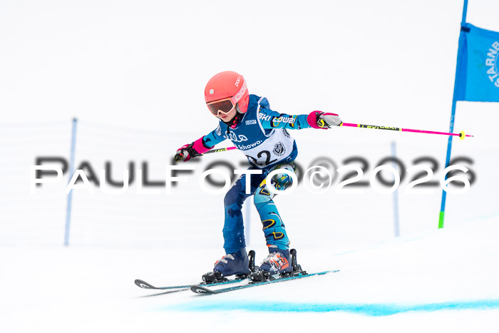 SVM U8/10 Sport Gürteler Cup 01.03.2026