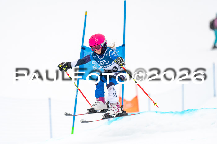 SVM U8/10 Sport Gürteler Cup 01.03.2026