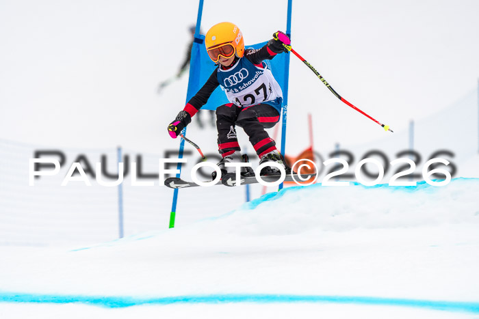 SVM U8/10 Sport Gürteler Cup 01.03.2026