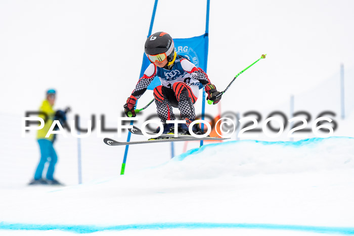 SVM U8/10 Sport Gürteler Cup 01.03.2026