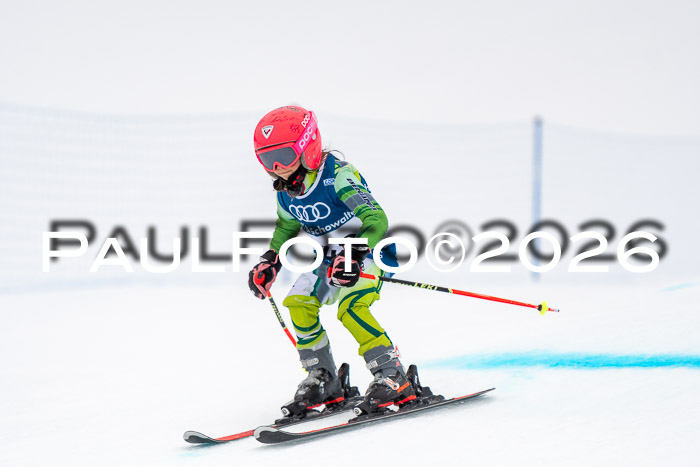 SVM U8/10 Sport Gürteler Cup 01.03.2026