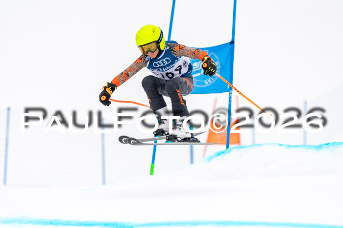 SVM U8/10 Sport Gürteler Cup 01.03.2026