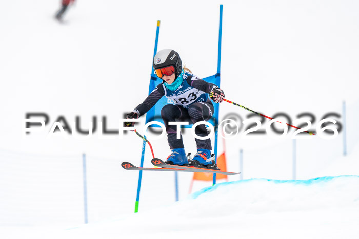 SVM U8/10 Sport Gürteler Cup 01.03.2026