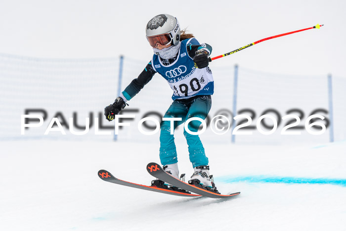 SVM U8/10 Sport Gürteler Cup 01.03.2026