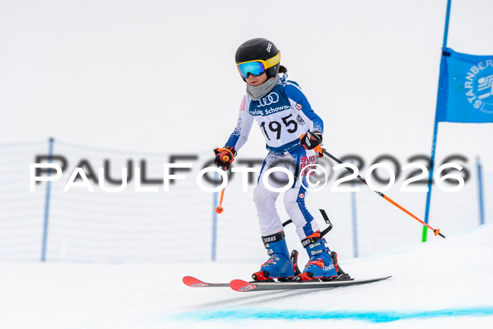 SVM U8/10 Sport Gürteler Cup 01.03.2026