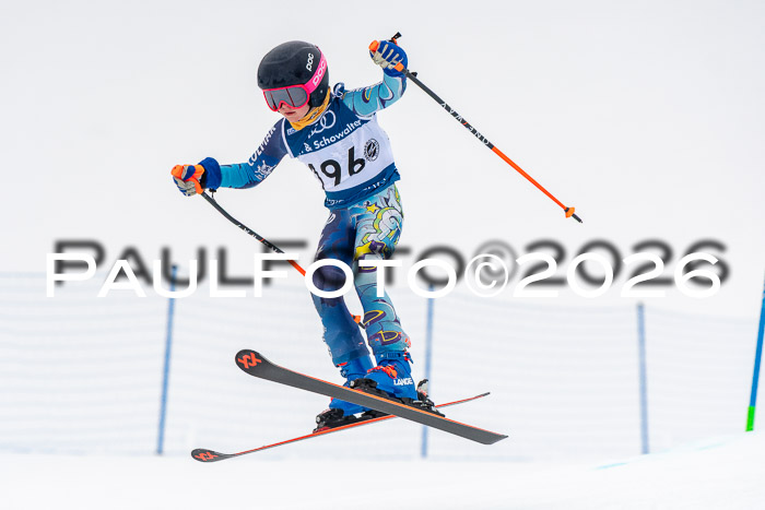 SVM U8/10 Sport Gürteler Cup 01.03.2026