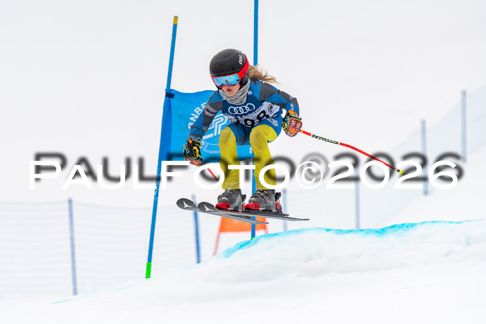SVM U8/10 Sport Gürteler Cup 01.03.2026