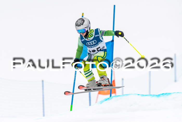 SVM U8/10 Sport Gürteler Cup 01.03.2026