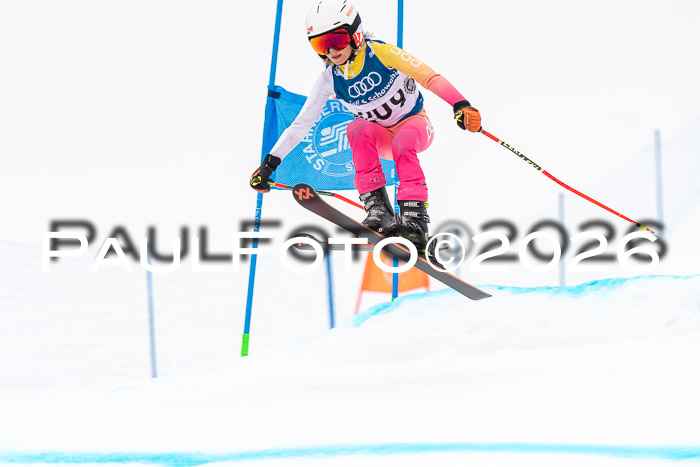 SVM U8/10 Sport Gürteler Cup 01.03.2026