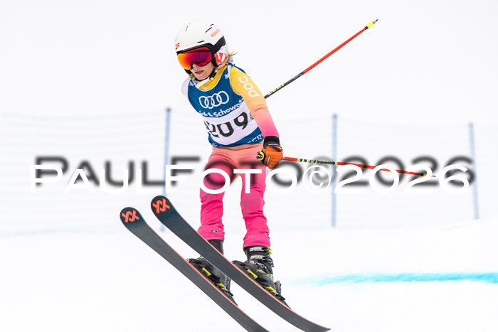 SVM U8/10 Sport Gürteler Cup 01.03.2026