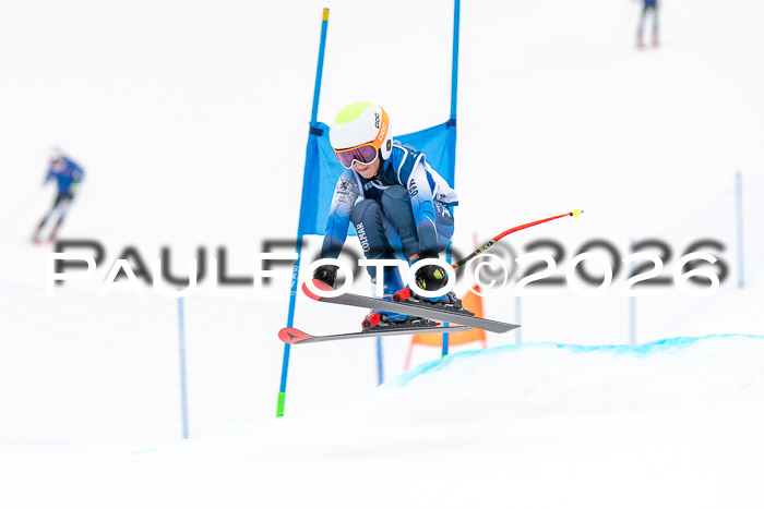 SVM U8/10 Sport Gürteler Cup 01.03.2026