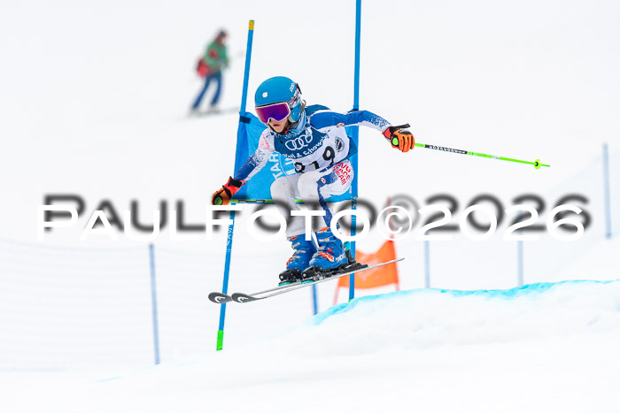 SVM U8/10 Sport Gürteler Cup 01.03.2026