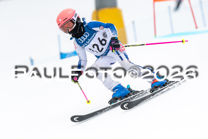 SVM U8/10 Sport Gürteler Cup 01.03.2026