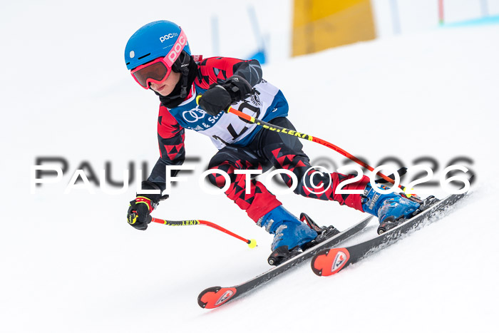 SVM U8/10 Sport Gürteler Cup 01.03.2026