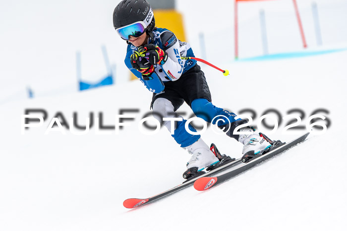 SVM U8/10 Sport Gürteler Cup 01.03.2026