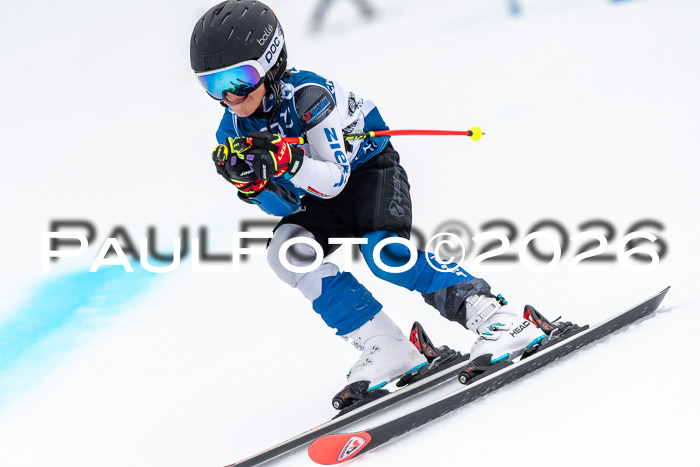 SVM U8/10 Sport Gürteler Cup 01.03.2026