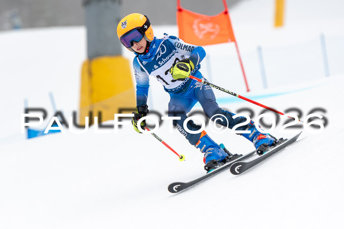 SVM U8/10 Sport Gürteler Cup 01.03.2026