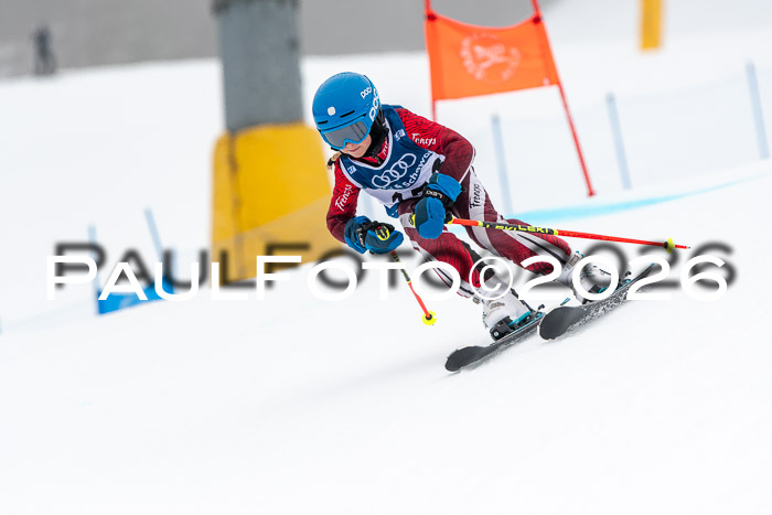 SVM U8/10 Sport Gürteler Cup 01.03.2026