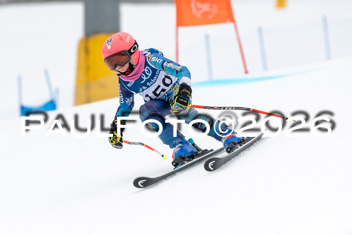 SVM U8/10 Sport Gürteler Cup 01.03.2026