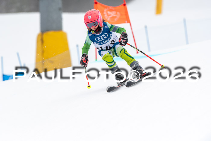 SVM U8/10 Sport Gürteler Cup 01.03.2026
