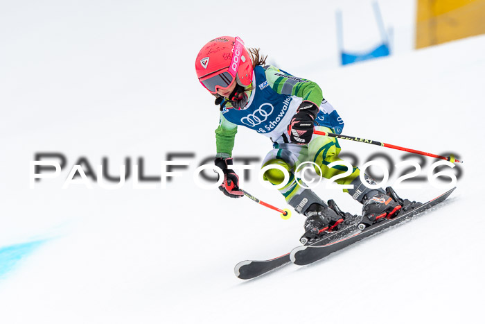 SVM U8/10 Sport Gürteler Cup 01.03.2026