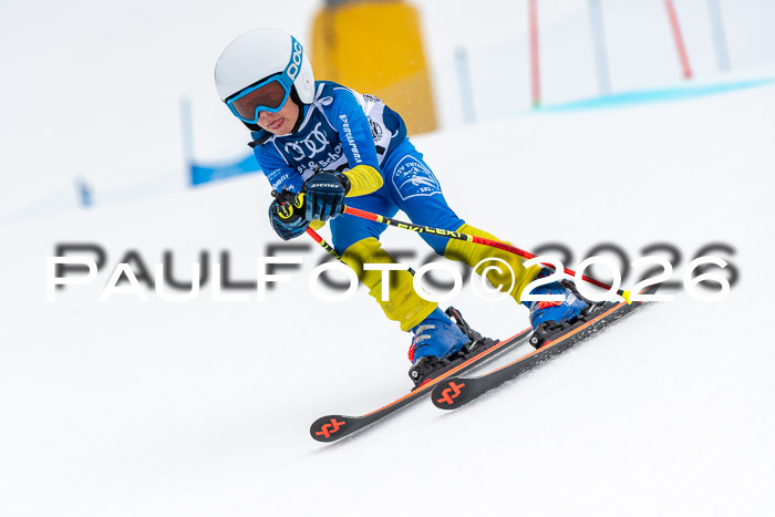 SVM U8/10 Sport Gürteler Cup 01.03.2026