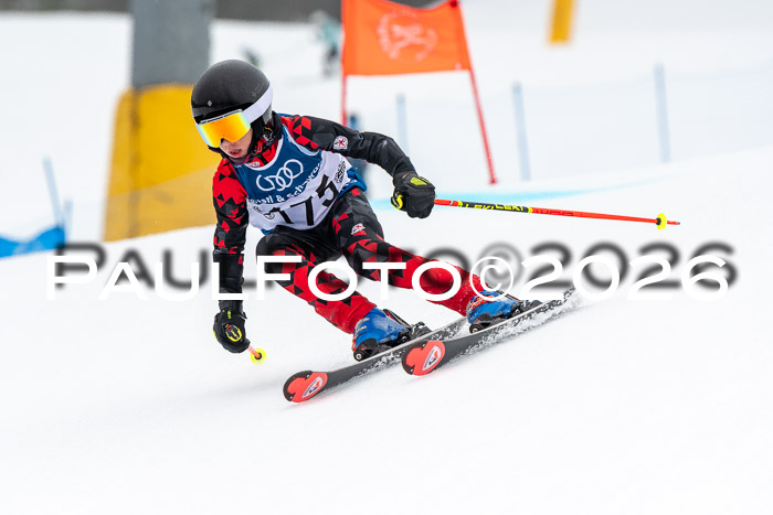 SVM U8/10 Sport Gürteler Cup 01.03.2026