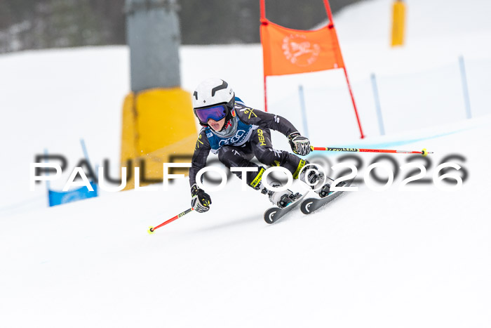 SVM U8/10 Sport Gürteler Cup 01.03.2026