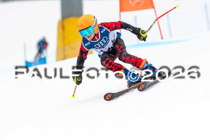 SVM U8/10 Sport Gürteler Cup 01.03.2026