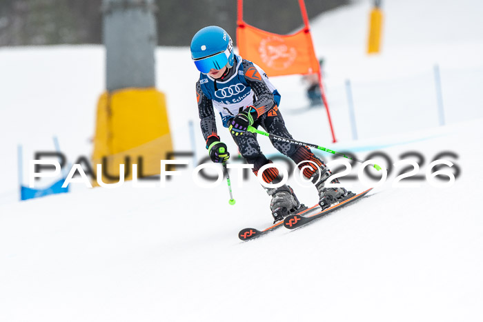 SVM U8/10 Sport Gürteler Cup 01.03.2026