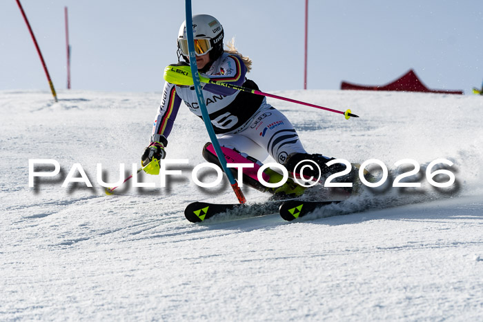 FIS Slalom  Damen + NJC FIS Herren 08.03.2026