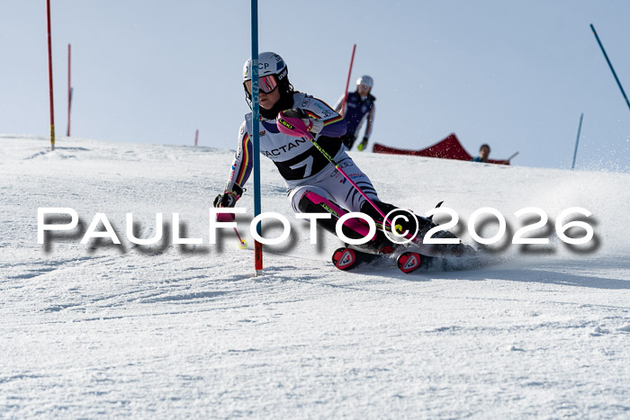 FIS Slalom  Damen + NJC FIS Herren 08.03.2026