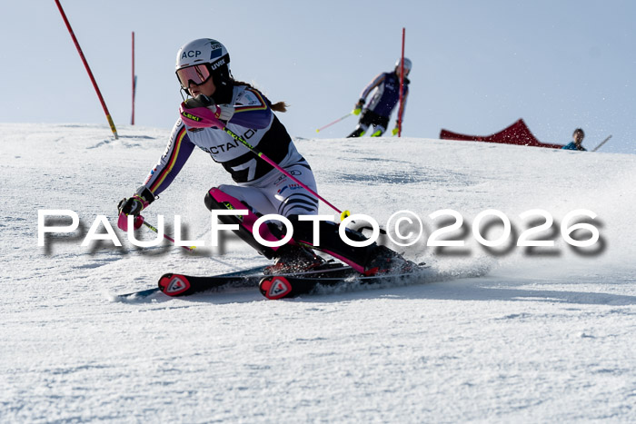 FIS Slalom  Damen + NJC FIS Herren 08.03.2026