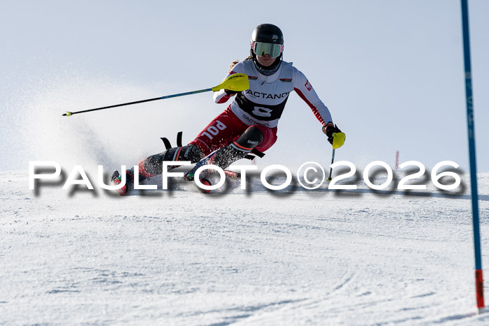 FIS Slalom  Damen + NJC FIS Herren 08.03.2026