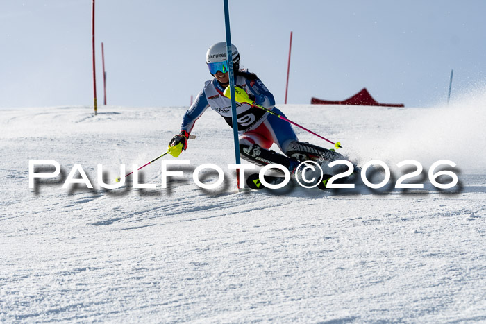 FIS Slalom  Damen + NJC FIS Herren 08.03.2026