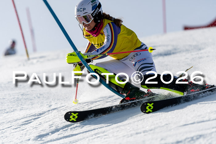 FIS Slalom  Damen + NJC FIS Herren 08.03.2026