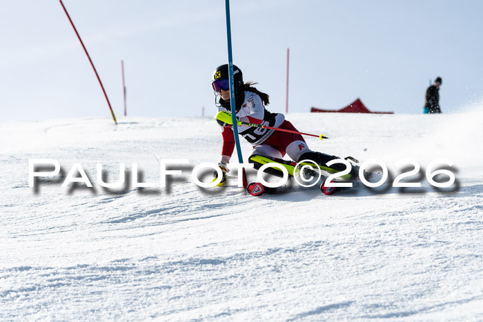 FIS Slalom  Damen + NJC FIS Herren 08.03.2026