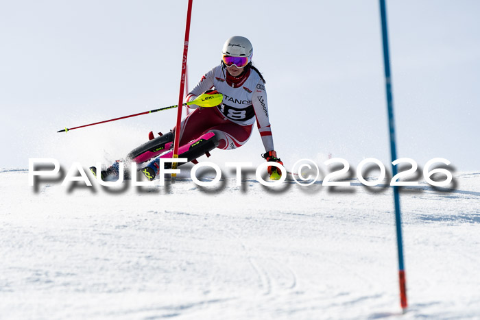 FIS Slalom  Damen + NJC FIS Herren 08.03.2026