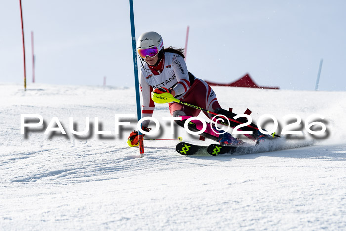 FIS Slalom  Damen + NJC FIS Herren 08.03.2026
