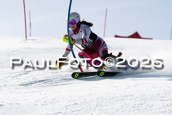 FIS Slalom  Damen + NJC FIS Herren 08.03.2026