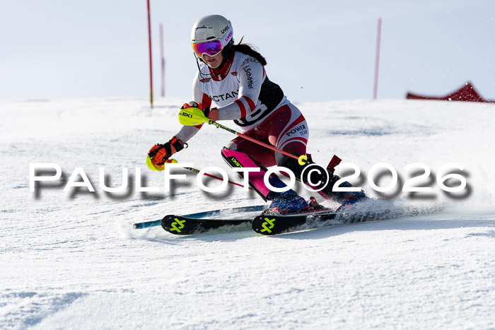 FIS Slalom  Damen + NJC FIS Herren 08.03.2026