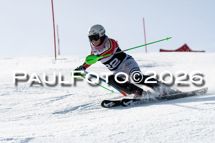 FIS Slalom  Damen + NJC FIS Herren 08.03.2026