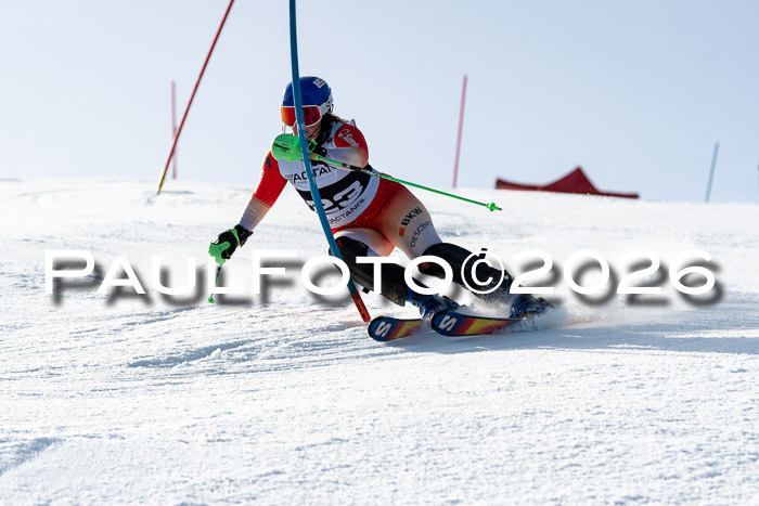 FIS Slalom  Damen + NJC FIS Herren 08.03.2026