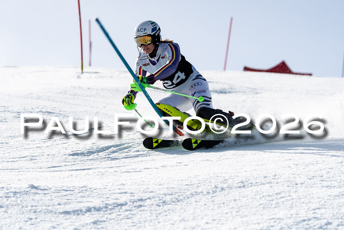 FIS Slalom  Damen + NJC FIS Herren 08.03.2026