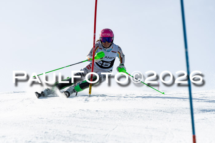 FIS Slalom  Damen + NJC FIS Herren 08.03.2026