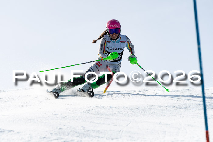 FIS Slalom  Damen + NJC FIS Herren 08.03.2026