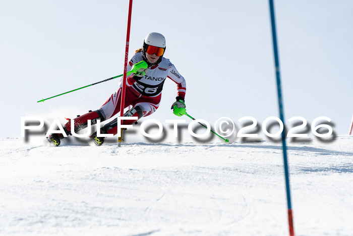 FIS Slalom  Damen + NJC FIS Herren 08.03.2026